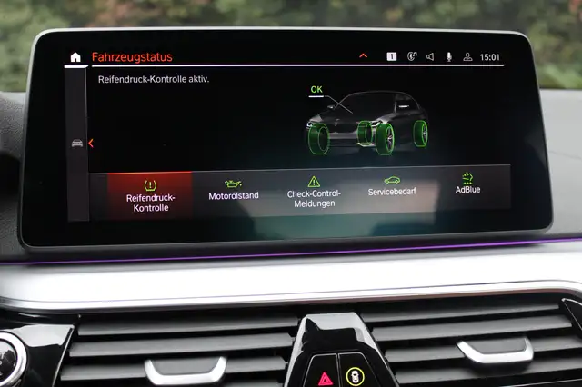 BMW 5 Series view 19