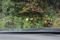 BMW 520 d Limousine Aut. ACC*AHK*LEDER*NAVI*LED*HUP*MEMORY*AMBIENTE* Blau - thumbnail 12