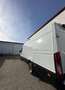 Iveco Daily 35C17V16 L4H3 - thumbnail 6