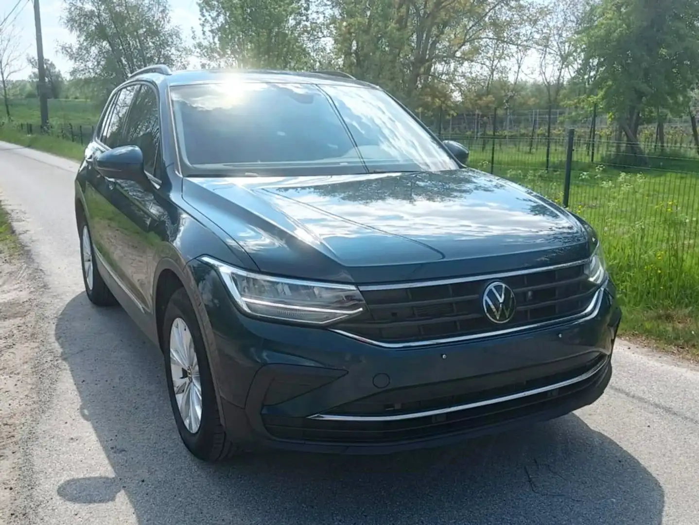 Volkswagen Tiguan 1.5 TSI Life DSG / NAVI / Camera / ... - 1