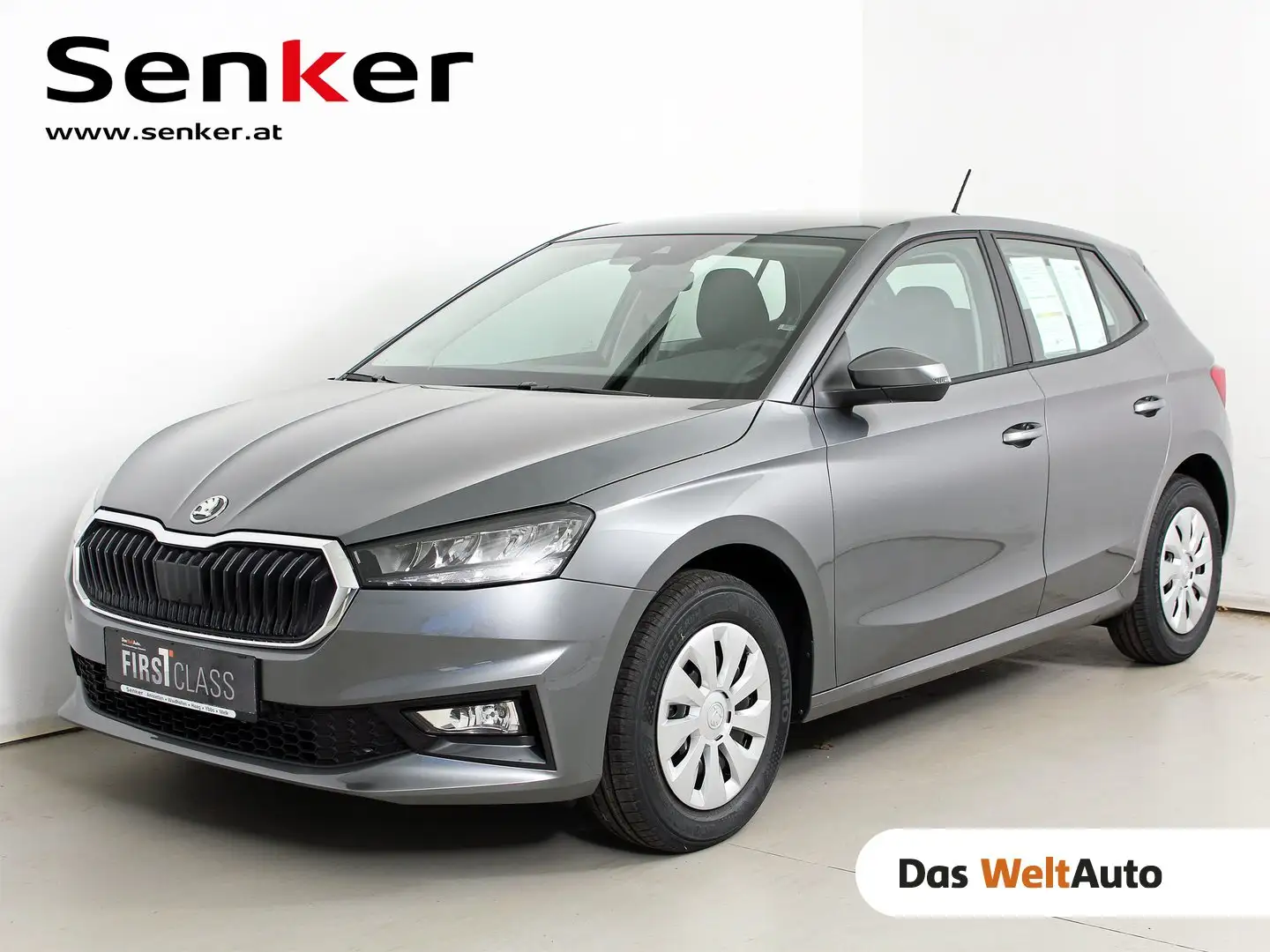 Skoda Fabia Essence Grau - 1
