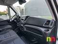 Iveco Daily Chasis Cabina 33S16 3000 156 Bianco - thumbnail 10