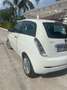 Lancia Ypsilon 1.3 mjt 16v Argento - thumbnail 11
