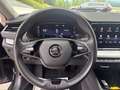 Skoda Octavia MATRIX SHZ MULTI VIRTUELL KEYLESS APP NAVI Schwarz - thumbnail 15