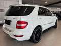 Mercedes-Benz ML 63 AMG V-MAX 510CV  UNICA BIANCA / BEIGE ! SPETTACOLARE ! Blanco - thumbnail 3