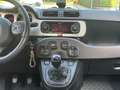 Fiat Panda CROSS 0.9 TwinAir Turbo S&S 4x4 NEOPATENTATI Vert - thumbnail 9
