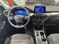 Ford Kuga 2.5 Duratec FHEV Titanium AWD Aut. Bleu - thumbnail 12