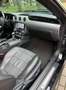 Ford Mustang Convertible 2.3 EcoBoost Aut. Negro - thumbnail 12