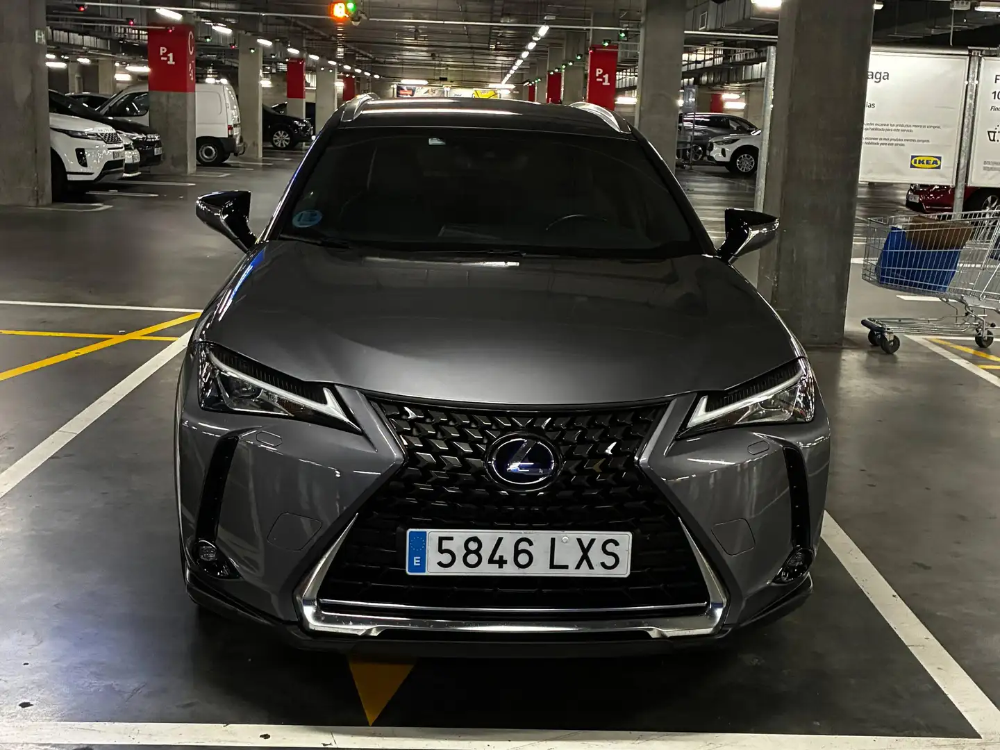 Lexus UX 250h UX 250h Business 4WD Business Gris - 1