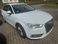 Audi A3 1.6 Tdi Sportback Weiß - thumbnail 2