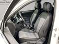 Volkswagen Tiguan 2.0 TDI 4Motion DSG Highline R-Line /Navi Weiß - thumbnail 4