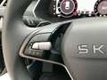 Skoda Octavia Selection TDI DSG Schwarz - thumbnail 24