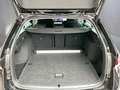 Skoda Octavia Selection TDI DSG Schwarz - thumbnail 12