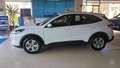 Ford Kuga Kuga 1.5 EcoBoost 120 CV 2WD Connect Blanc - thumbnail 5