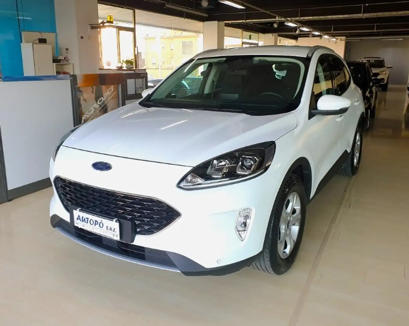 Ford Kuga Kuga 1.5 EcoBoost 120 CV 2WD Connect Blanc - 1