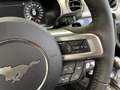 Ford Mustang GT+MagneRide+LED+B&O+NAV+ACC+SZH+PDC+DAB+ Burdeos - thumbnail 18