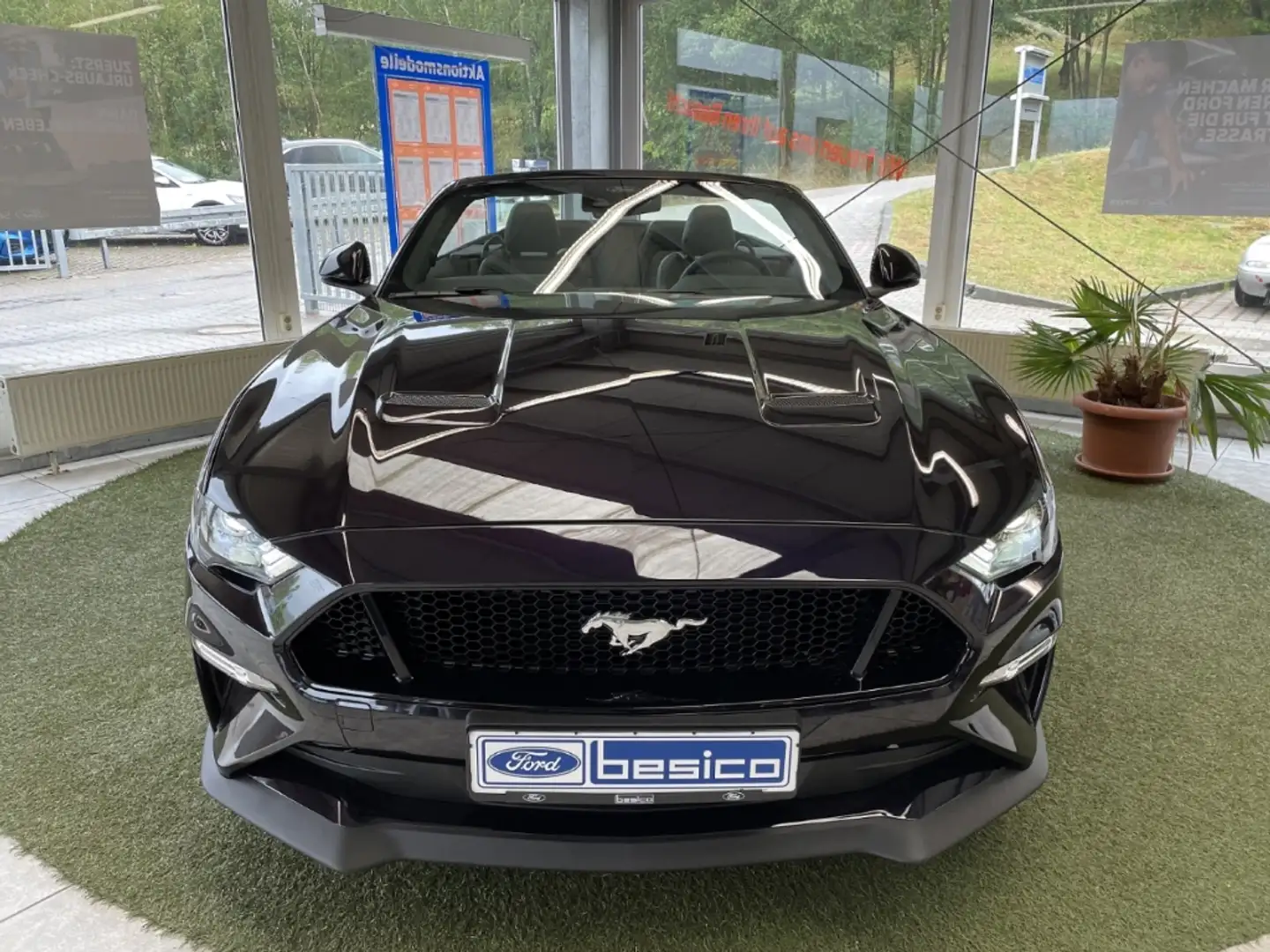 Ford Mustang GT+MagneRide+LED+B&O+NAV+ACC+SZH+PDC+DAB+ Fioletowy - 2