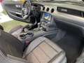 Ford Mustang GT+MagneRide+LED+B&O+NAV+ACC+SZH+PDC+DAB+ Burdeos - thumbnail 25