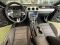 Ford Mustang GT+MagneRide+LED+B&O+NAV+ACC+SZH+PDC+DAB+ Burdeos - thumbnail 24