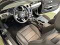 Ford Mustang GT+MagneRide+LED+B&O+NAV+ACC+SZH+PDC+DAB+ Burdeos - thumbnail 11
