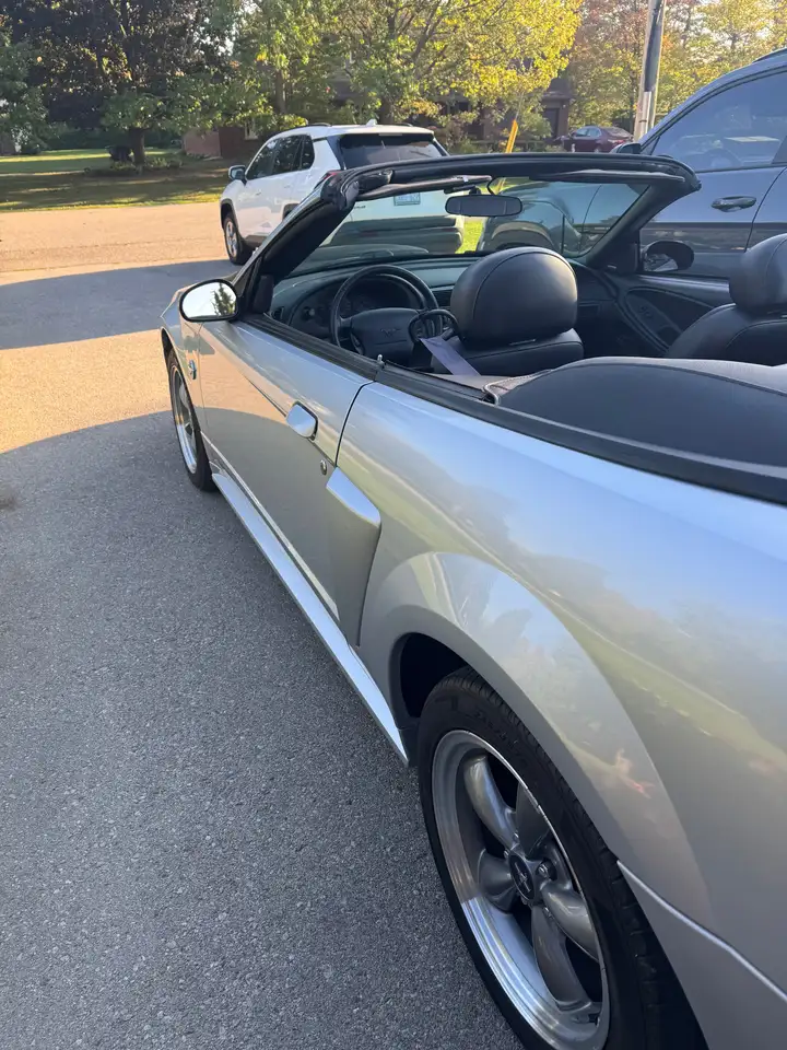 Ford Mustang photo Ford Mustang