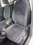 Skoda Octavia Octavia Wagon 1.6 tdi Executive Plus 110cv Grigio - thumbnail 6