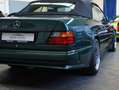 Mercedes-Benz CE 300 300 CE-24 Sportline Cabrio mit AMG Paket Grün - thumbnail 14