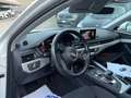 Audi A4 2.0 40 TDI QUATTRO  SPORT s-line S TRONIC Weiß - thumbnail 14