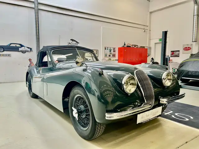 Jaguar Sonstige XK 120 DHC Ansicht 11