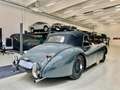 Jaguar Sonstige XK 120 DHC Grau - thumbnail 13