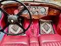 Jaguar Sonstige XK 120 DHC Grau - thumbnail 20
