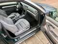 Audi A4 Cabriolet 3.0 TDI quattro/AUTOMATIK/TÜV NEU Grün - thumbnail 38