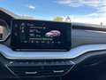 Skoda Octavia Combi 2,0 TDI 4x4 Style DSG | AHK Silber - thumbnail 28