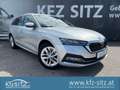 Skoda Octavia Combi 2,0 TDI 4x4 Style DSG | AHK Silber - thumbnail 1
