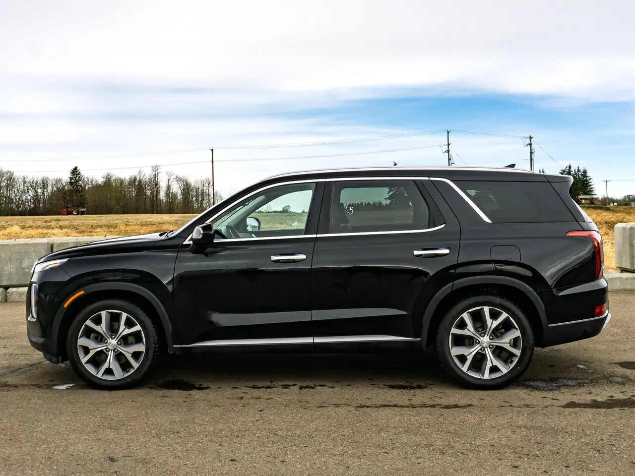 Hyundai PALISADE снимка Hyundai PALISADE