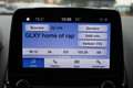 Ford EcoSport 125PK ST-LINE AFN. TREKHAAK CLIMA CRUISE STOELVERW Gris - thumbnail 15