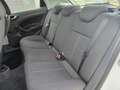 SEAT Ibiza 1.2TDI CR Ecomotive Reference Weiß - thumbnail 12