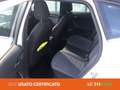 SEAT Arona 1.0 ecotsi xperience 95cv Bianco - thumbnail 9