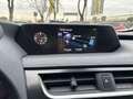 Lexus UX 250h Hybrid Premium Grau - thumbnail 14