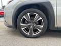 Lexus UX 250h Hybrid Premium Grey - thumbnail 6