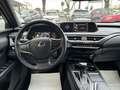 Lexus UX 250h Hybrid Premium Grau - thumbnail 12