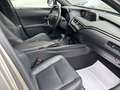 Lexus UX 250h Hybrid Premium Grey - thumbnail 10