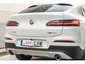 BMW X4 xDrive 20dA Blanco - thumbnail 38