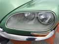 DS Automobiles Sonstige PALLAS Grün - thumbnail 9