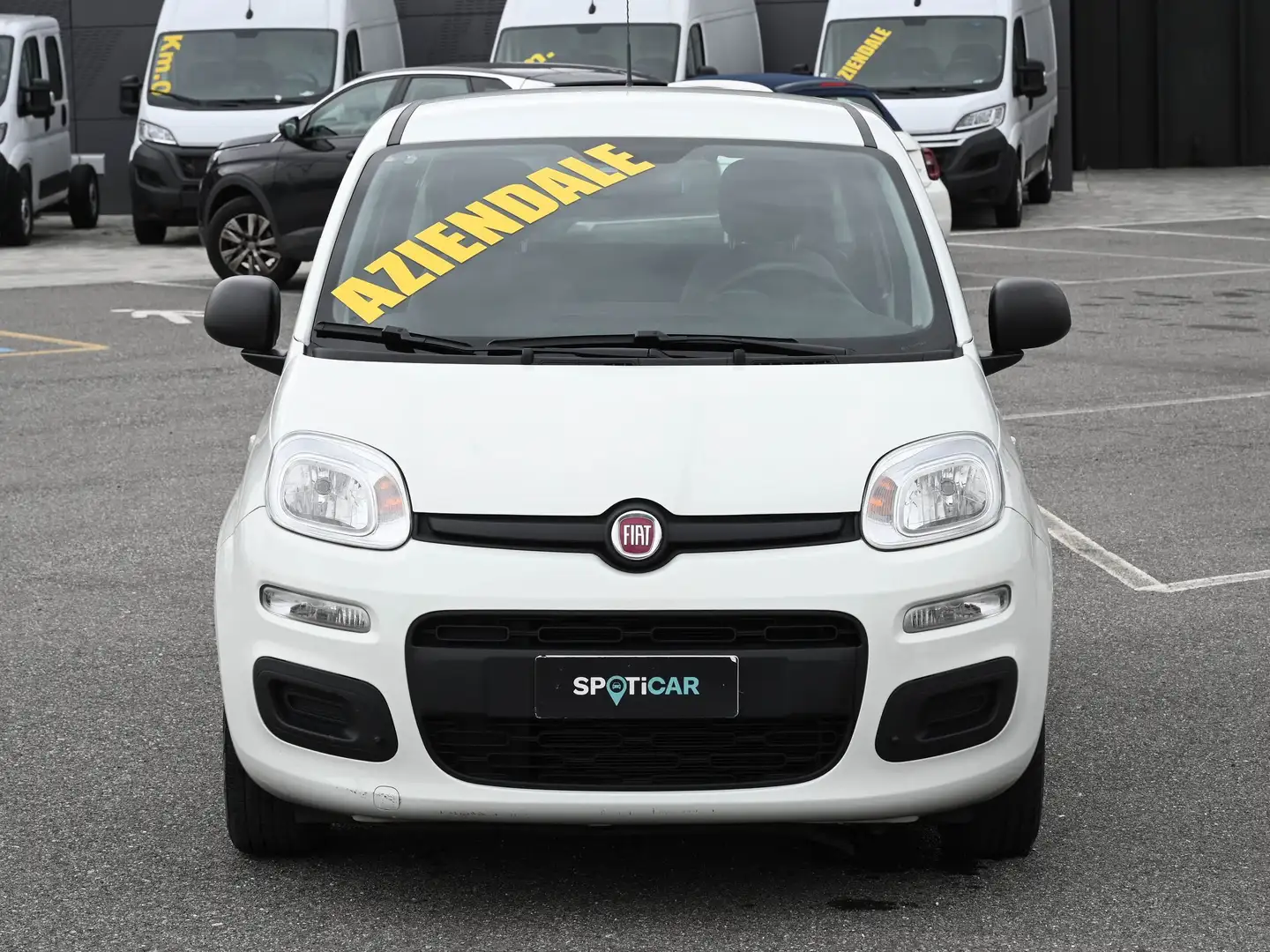 Fiat Panda 1.0 firefly hybrid s Blanc - 2