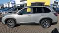 Subaru Forester 2.0ie e-BOXER Exclusive Lineart Neues Modell Silber - thumbnail 6