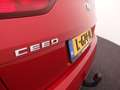 Kia Ceed SW / cee'd SW Sportswagon 1.0 T-GDi GT-Line TREKHAAK / PANORAMAD Rojo - thumbnail 21