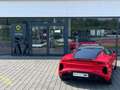 Lotus Emira I4 DCT "First Edition" by Lotus am Ring Rouge - thumbnail 19