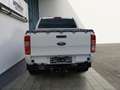Ford Ranger XL Doppelkabine 4x4*Klima* Klima Fenster el. Weiß - thumbnail 6