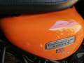 Triumph Thunderbird Sport Naranja - thumbnail 8